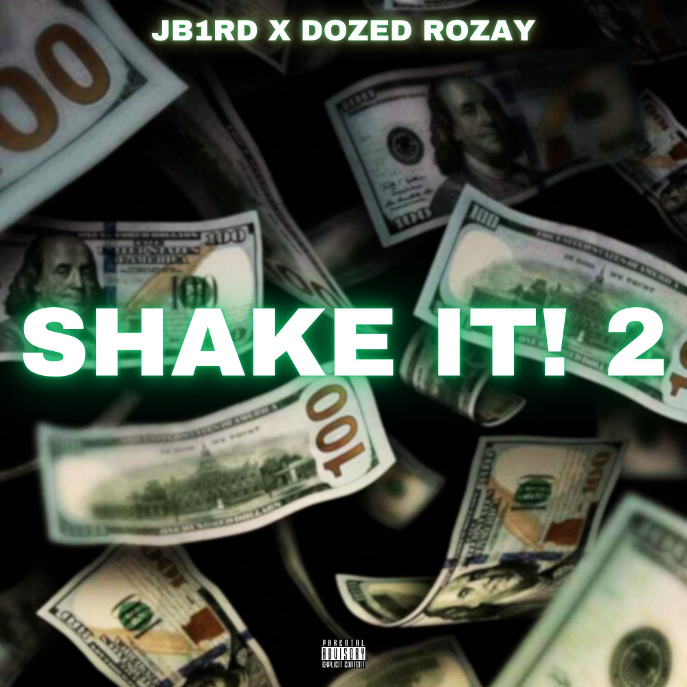 Shake It! 2 (Explicit)