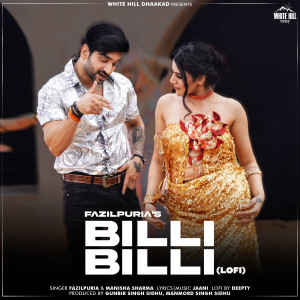Fazilpuria的专辑Billi Billi (Lofi)