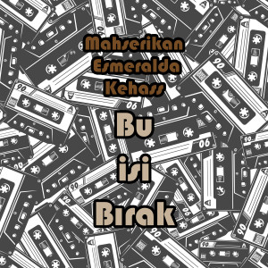 Listen to Bu İşi Bırak song with lyrics from Mahşerikan
