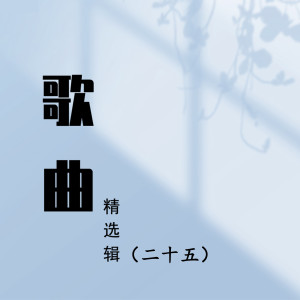 Album 歌曲精选辑（二十五） from 中唱群星