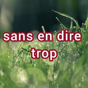 Mr Tout Le Monde的專輯Sans en dire trop