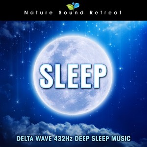 ดาวน์โหลดและฟังเพลง Deep Sleep - Delta Wave Meditation พร้อมเนื้อเพลงจาก Nature Sound Retreat