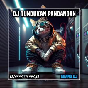 Album Tundukan Pandangan (Abang DJ Viral Tiktok Remix 2024) oleh Raffa Affar