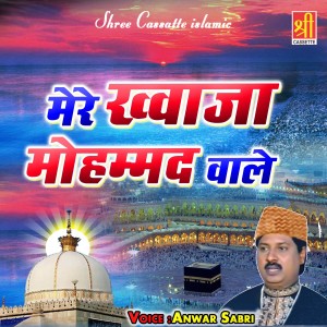 收聽Anwar Sabri的Jo Log Mazare Khwaja Par歌詞歌曲
