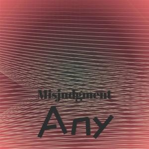 Album Misjudgment Any from Various
