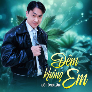 Album Đêm Không Em from Đỗ Tùng Lâm