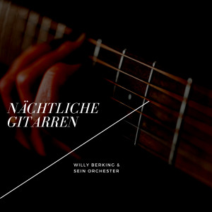 Willy Berking的专辑Nächtliche Gitarren