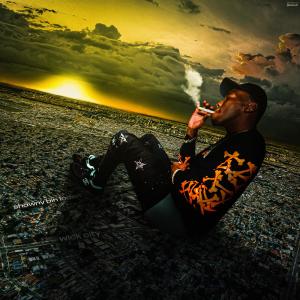 收聽Shawny Binladen的Owls in the Tree (Explicit)歌詞歌曲