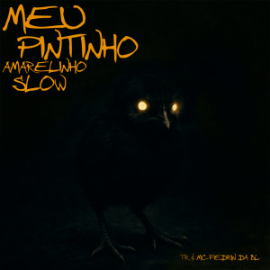 Album PINTINHO AMARELINHO SLOW (Explicit) from 