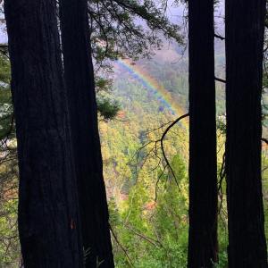 收聽SPA的Taking it Easy歌詞歌曲