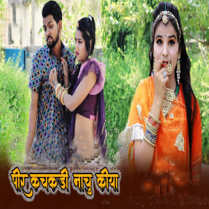 Listen to Peer Kachkadi Naachu Kiya song with lyrics from Bhodhya Don