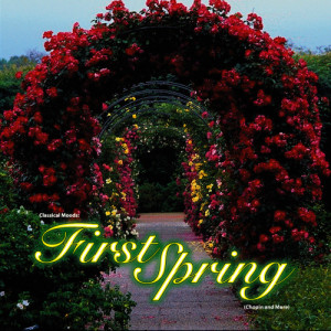 Artist Sessions Project的專輯Classical Moods: First Spring (Chopin and More)