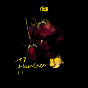 Flamenco dari Yosh