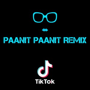 อัลบัม Paanit Paanit Remix ศิลปิน Dj Viral TikToker