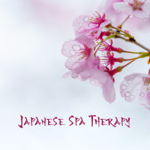 อัลบัม Japanese Spa Therapy (Japanese Shiatsu, Amma Massage, Kobido Relaxation, Oriental Serenity) ศิลปิน Zen Serenity Spa Asian Music Relaxation