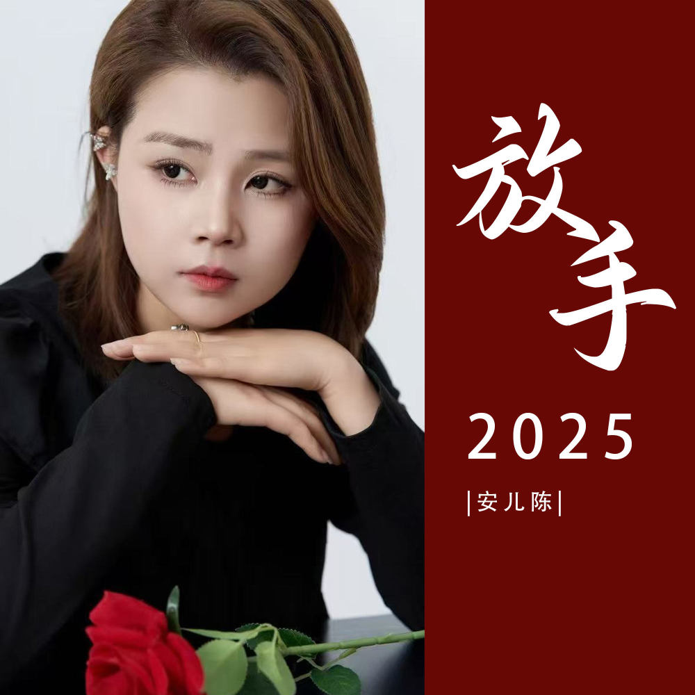 放手2025 (DJ版)