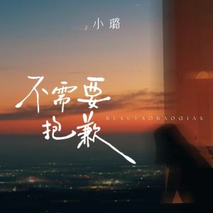 Listen to 不需要抱歉 (伴奏) song with lyrics from 小璐