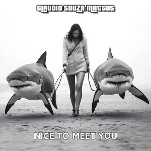 Album Nice to Meet You from Claudio Souza Mattos