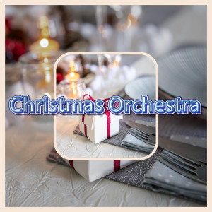 อัลบัม 2023 Christmas Instrumentals Playlist ศิลปิน Christmas Orchestra