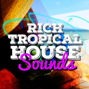 ดาวน์โหลดและฟังเพลง Gotta Groove พร้อมเนื้อเพลงจาก Tropical House