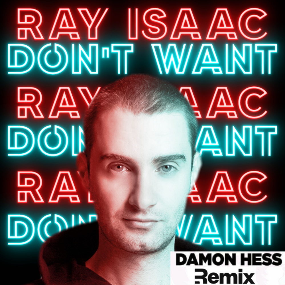 Don't Want (Damon Hess Extended Remix)