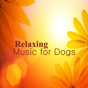 ดาวน์โหลดและฟังเพลง You Are My Hiding Place พร้อมเนื้อเพลงจาก The Piano Music Group
