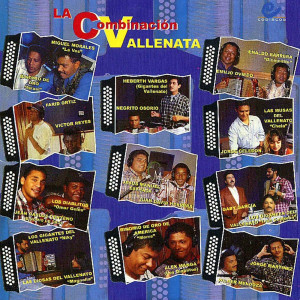 Listen to Sin Tu Amor song with lyrics from La Combinación Vallenata
