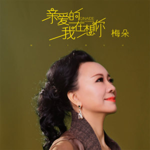 收听梅朵的亲爱的我在想你歌词歌曲