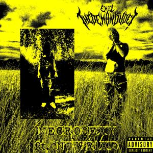 ดาวน์โหลดและฟังเพลง NECRO$EXY (feat. !NTWRiXD) (Explicit) พร้อมเนื้อเพลงจาก Ewil TheDemonDude!