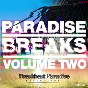 ดาวน์โหลดและฟังเพลง One of Those Days (Pimpsoul Remix) พร้อมเนื้อเพลงจาก Breakbeat Junkie