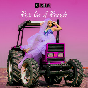 收聽Rose的Hey Darling歌詞歌曲