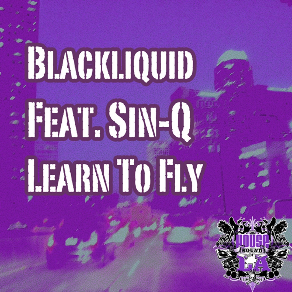 Learn to Fly (Original Mix)