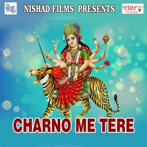 Album Charno Me Tere from Various