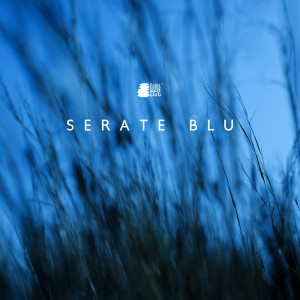 Album Serate blu (La natura per dormire, Fare pace con il passato) from Relax musica zen club