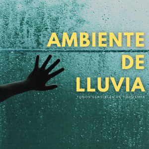 Sueño Encantado的专辑Ambiente De Lluvia: Tonos Sensibles De Tormenta