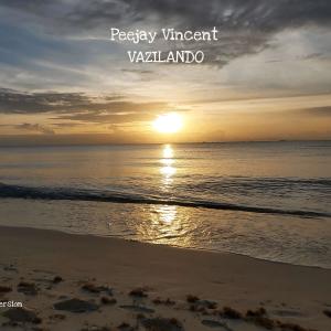 Vazilando (Peejay Vincent Remix) dari Oreja