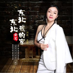 收聽安文的東北東北我的家(廣場舞版) (廣場舞版)歌詞歌曲