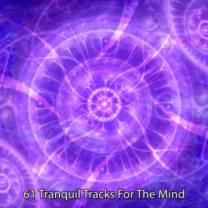 Sound Library XL的專輯61 Tranquil Tracks For The Mind