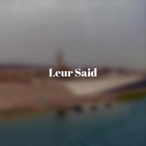 Dengarkan lagu Leur Said nyanyian Eldi Basl dengan lirik