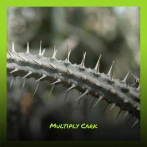 Various Artists的專輯Multiply Cark