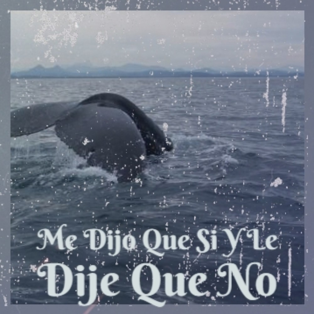 Me Dijo Que Si Y Le Dije Que No