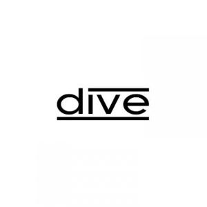 Listen to Haters song with lyrics from Dive