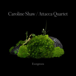 อัลบัม Caroline Shaw: Evergreen ศิลปิน Attacca Quartet