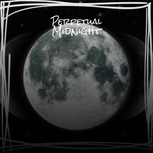 Album Perpetual Midnight oleh Sani Vion