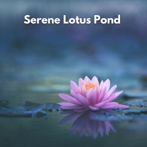 Serene Lotus Pond dari Background Music Experience