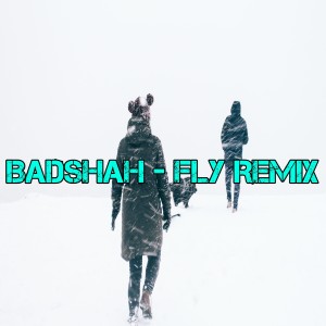 收听Dj India Fly的Badshah - Fly Remix歌词歌曲
