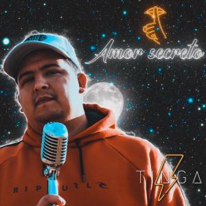 Listen to Amor Secreto song with lyrics from Tinga Rodriguez