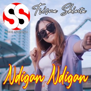 Listen to Ndigan Ndigan song with lyrics from Trisna Shinta