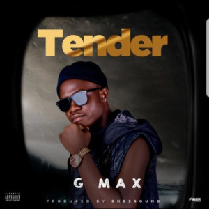 Listen to Tender song with lyrics from Gmax