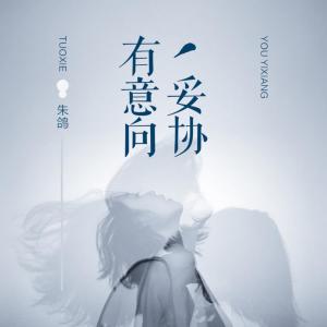 Listen to 有意向妥协 (伴奏) song with lyrics from 朱鸽